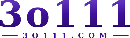 3o111 logo